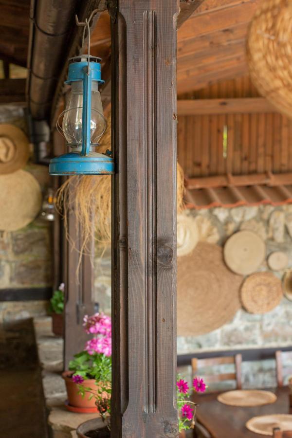 Villa Sol Sluneční pobřeží Exteriér fotografie